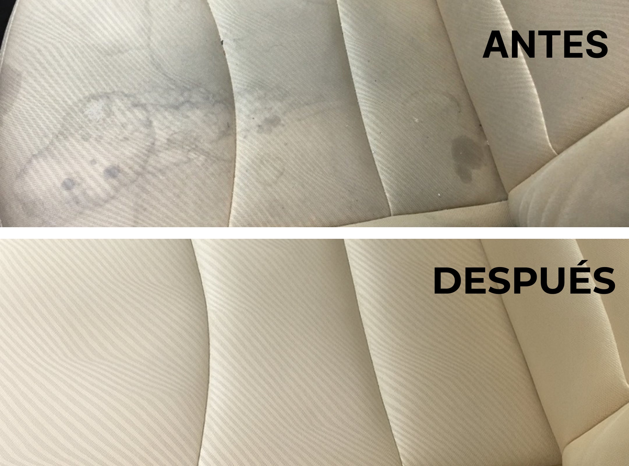 LEATHER RENOVER - kit limpieza y renovación piel y cuero