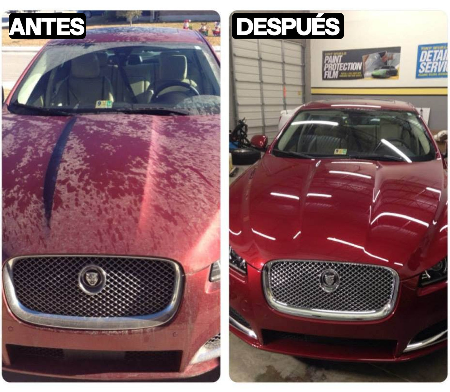 Pack Premium RS Motor