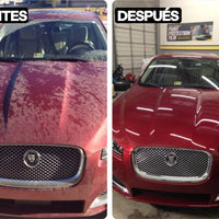 Pack Premium Interior + Accesorios