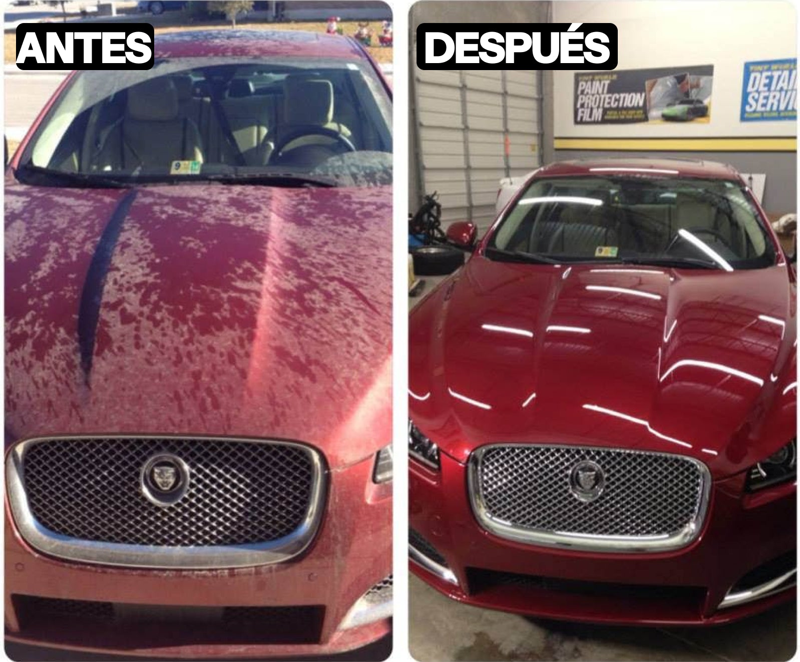 Pack Premium Interior + Accesorios