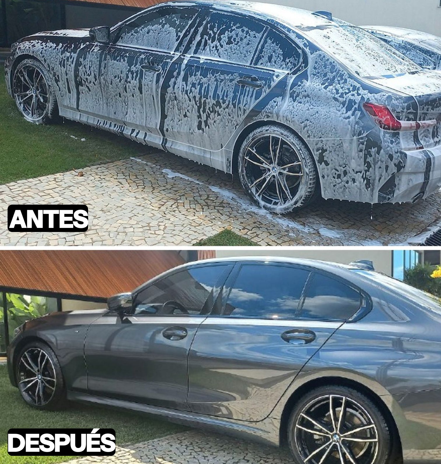 CHERRY FOAM 5L - Champú Lavado