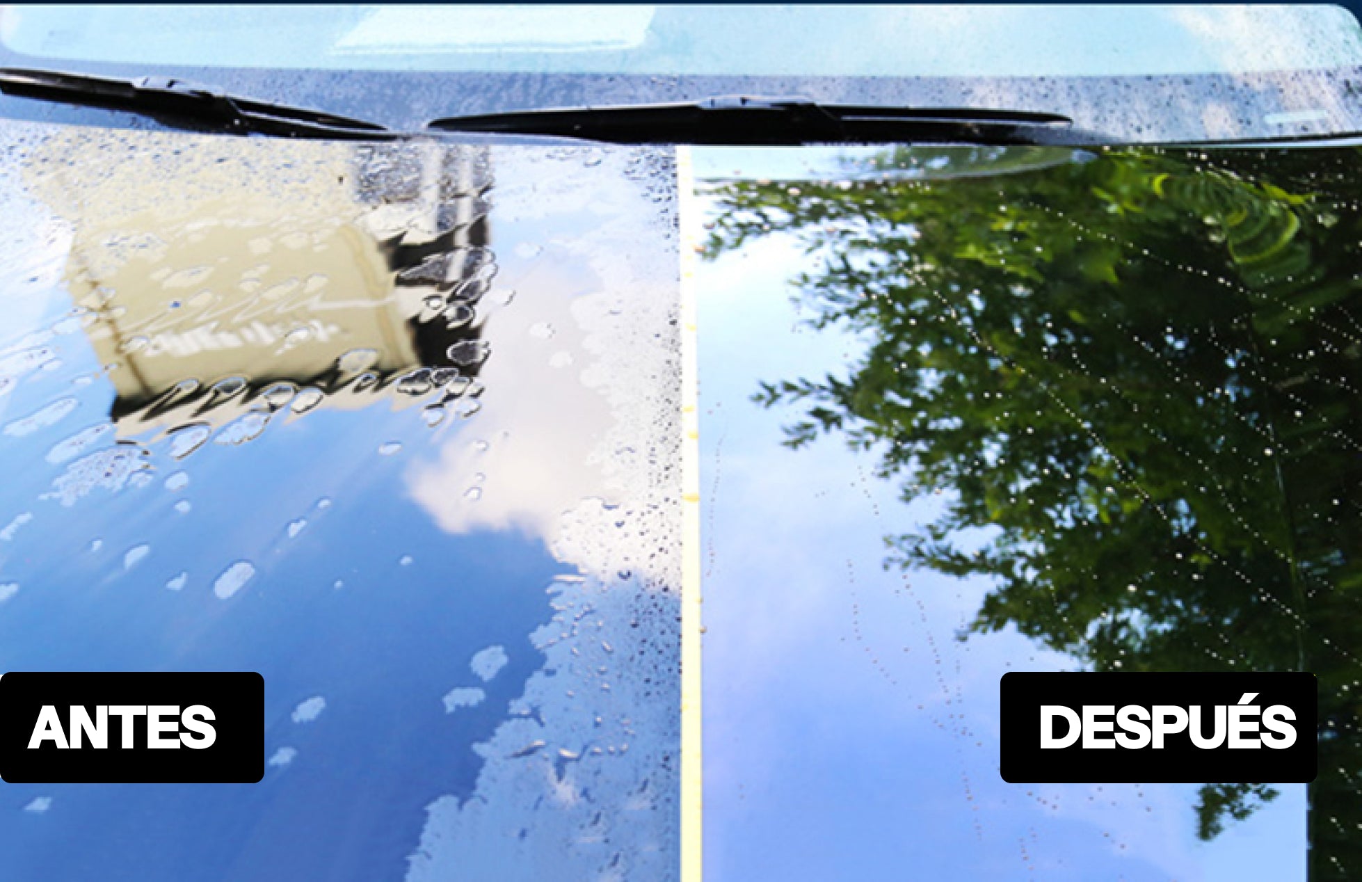 Pack Premium RS Motor