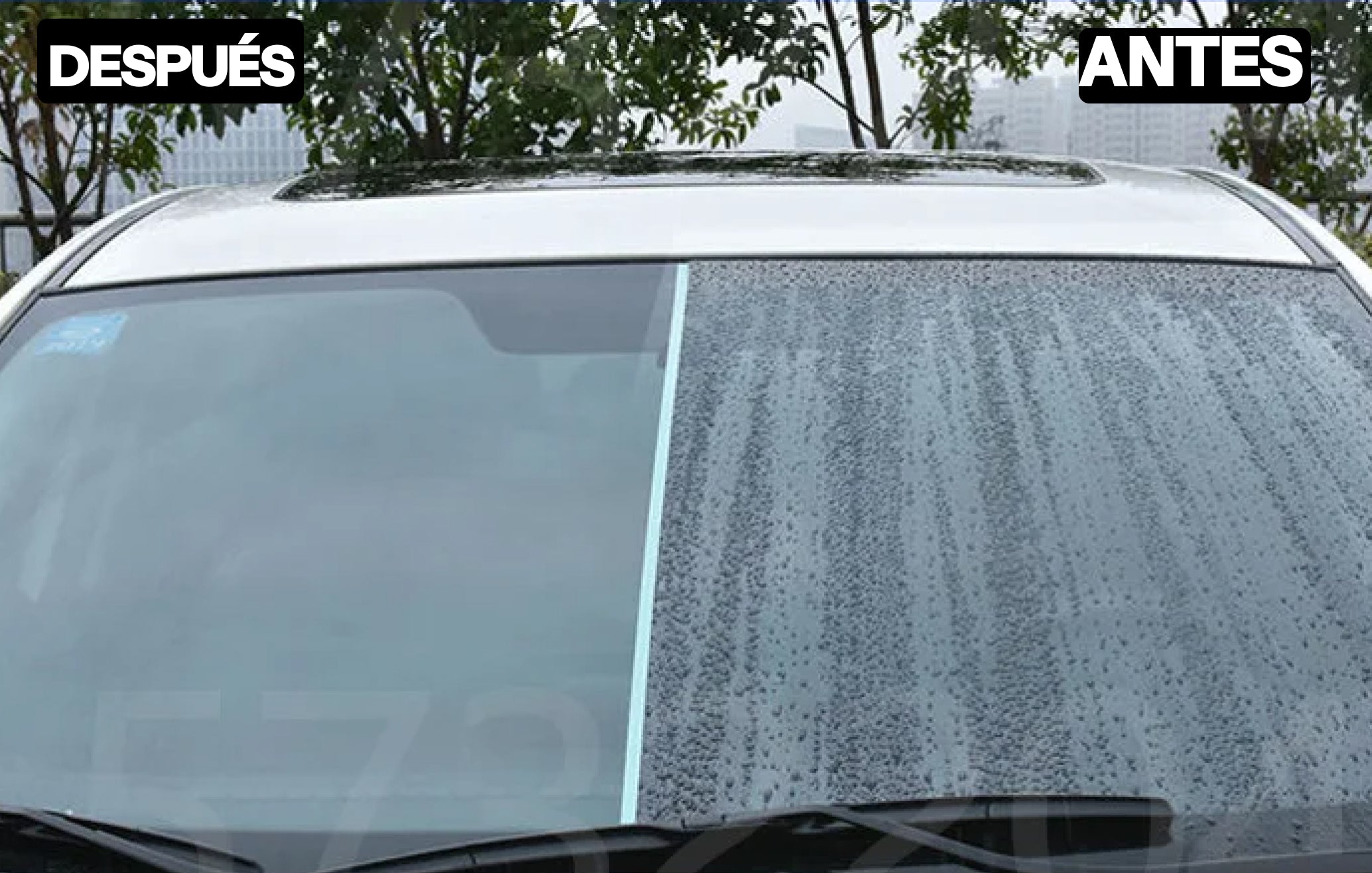 HYDRO COAT - Repelente Agua y Polvo