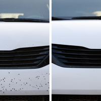 MOSQUITO REMOVER - Limpiador de Insectos