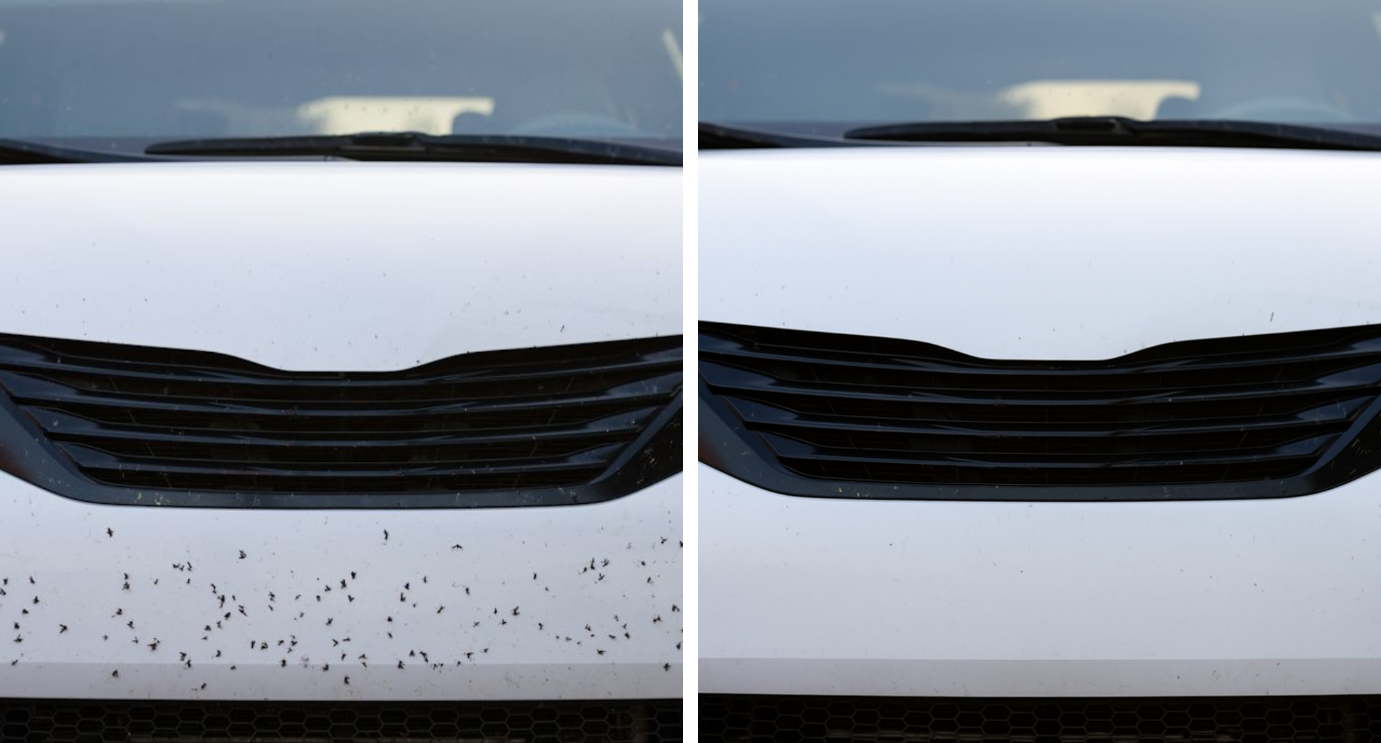 MOSQUITO REMOVER - Limpiador de Insectos