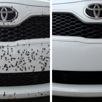 MOSQUITO REMOVER - Limpiador de Insectos