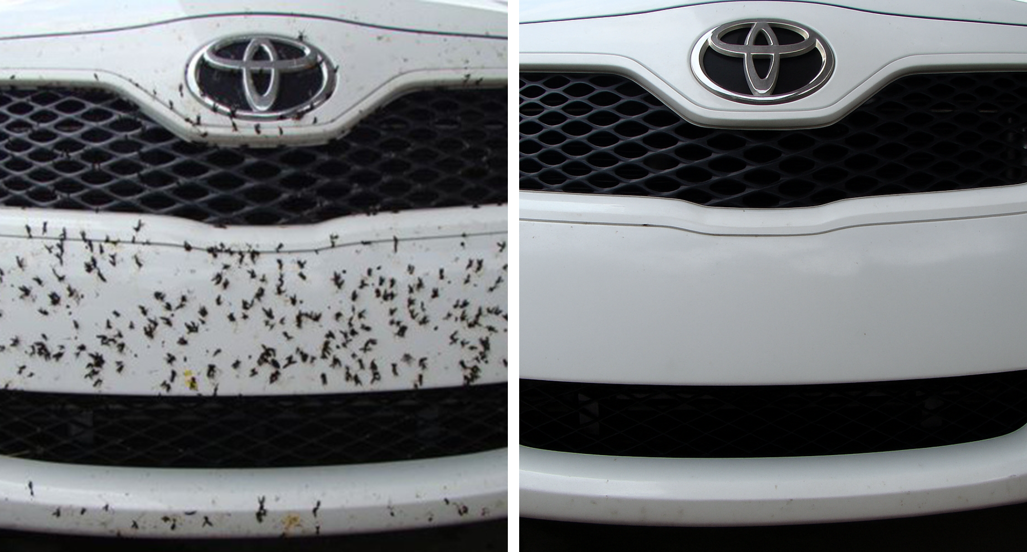 MOSQUITO REMOVER - Limpiador de Insectos