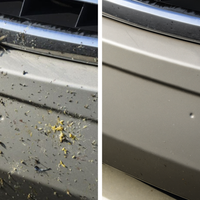 MOSQUITO REMOVER - Limpiador de Insectos