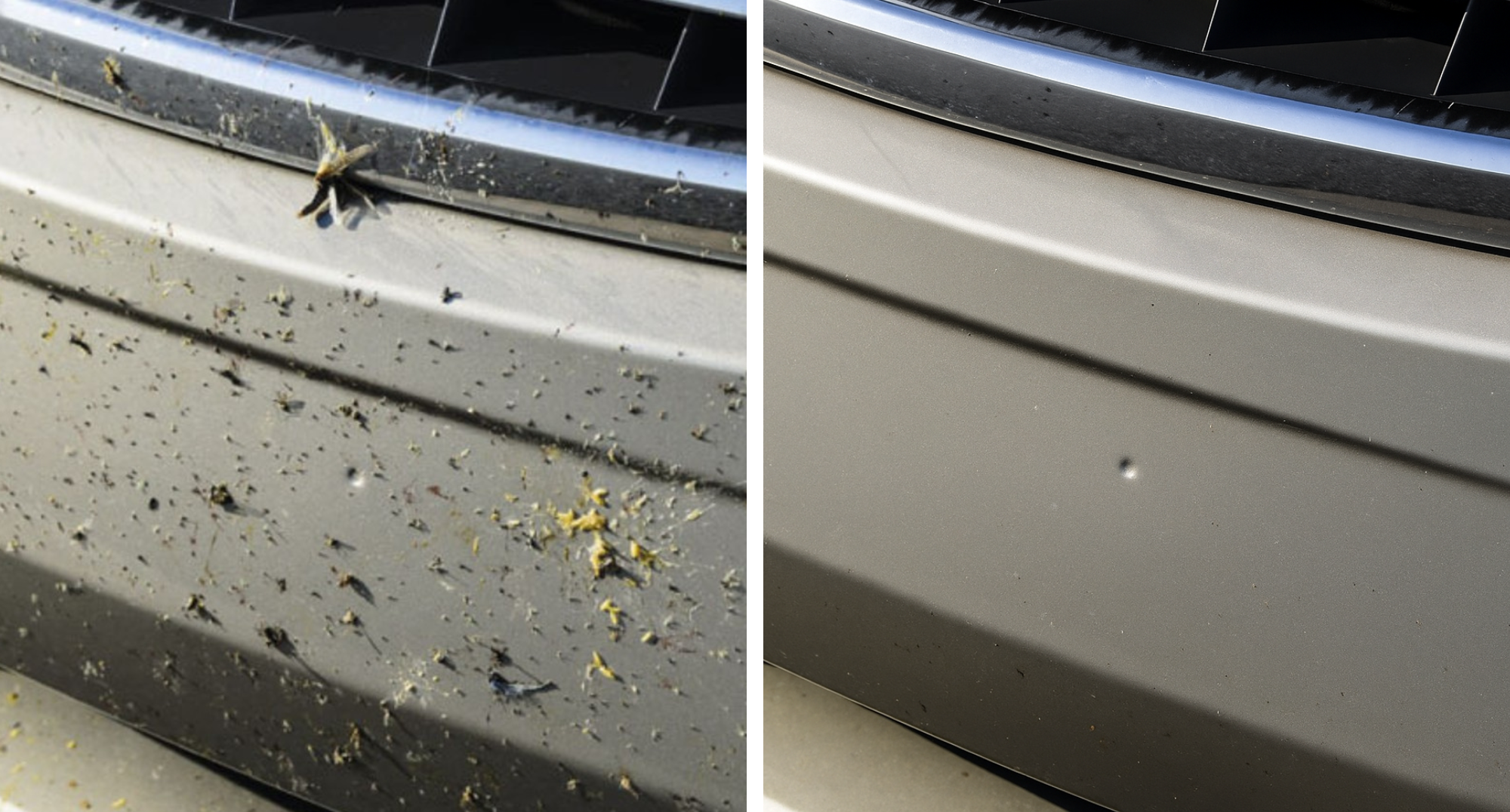 MOSQUITO REMOVER - Limpiador de Insectos